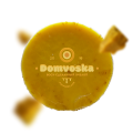 Domvoska